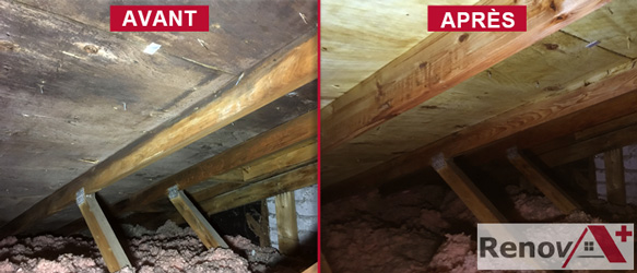 Attic Mold Removal (Before/After), Cote-Saint-Luc