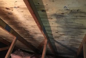 Attic mold removal quotation, Kirkland