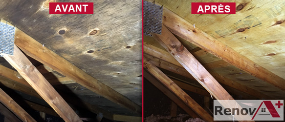 Attic Mold Remediation (Before/After), Cote-Saint-Luc