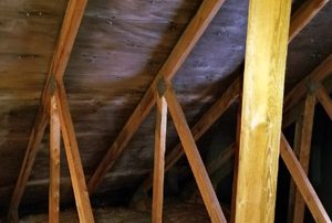 Attic Mold removal contractor in Montreal