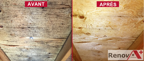 Attic Mold Removal Contractor, Beaconsfield