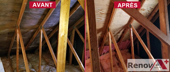 Attic Mold Removal Expert, Cote-Des-Neiges