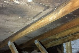 Mold Removal Attic, Cote-Des-Neiges