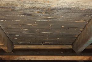 Attic Mold Removal Price, Longueuil