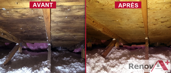 Treatment mold attic, Longueuil Montreal Laval