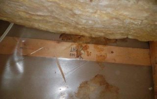 Rodents attic decontamination, Longueuil