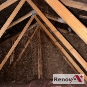 Black Mold Removal In Attic, Boucherville