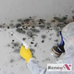 Mold Removal in Beaconsfield